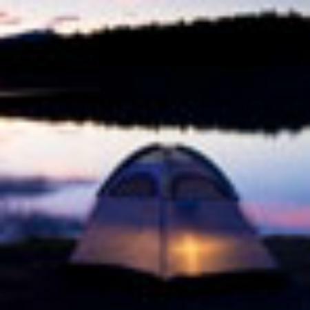 Tasty Fish Bar & Best Kebab E15