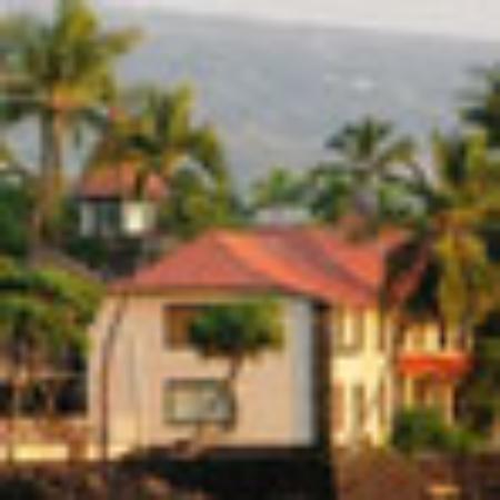 The Blackstock Kitchen