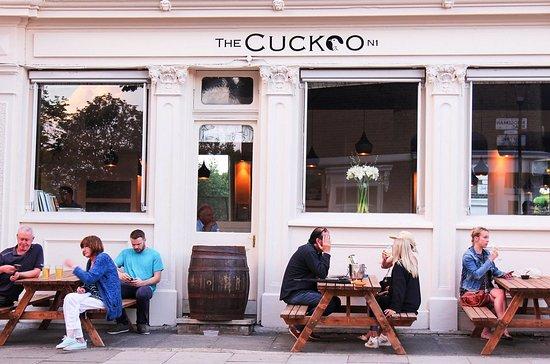 The Cuckoo N1