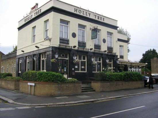 The Holly Tree