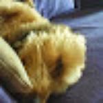 Millhouse Fish and Chips