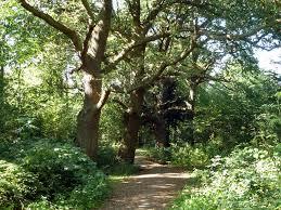 Stokes Field Nature Reserve