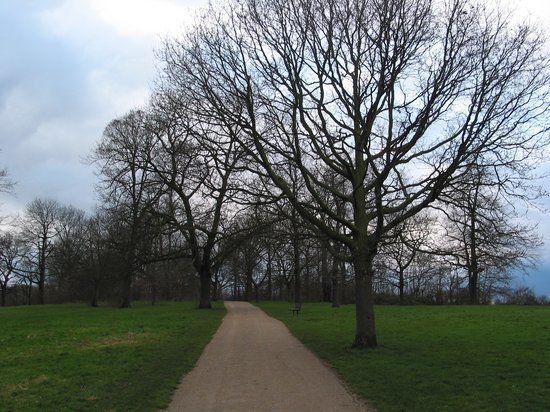 Hampstead