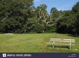 Putney Heath