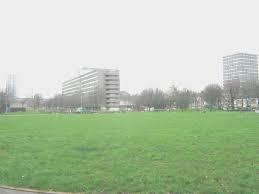 York Gardens Library
